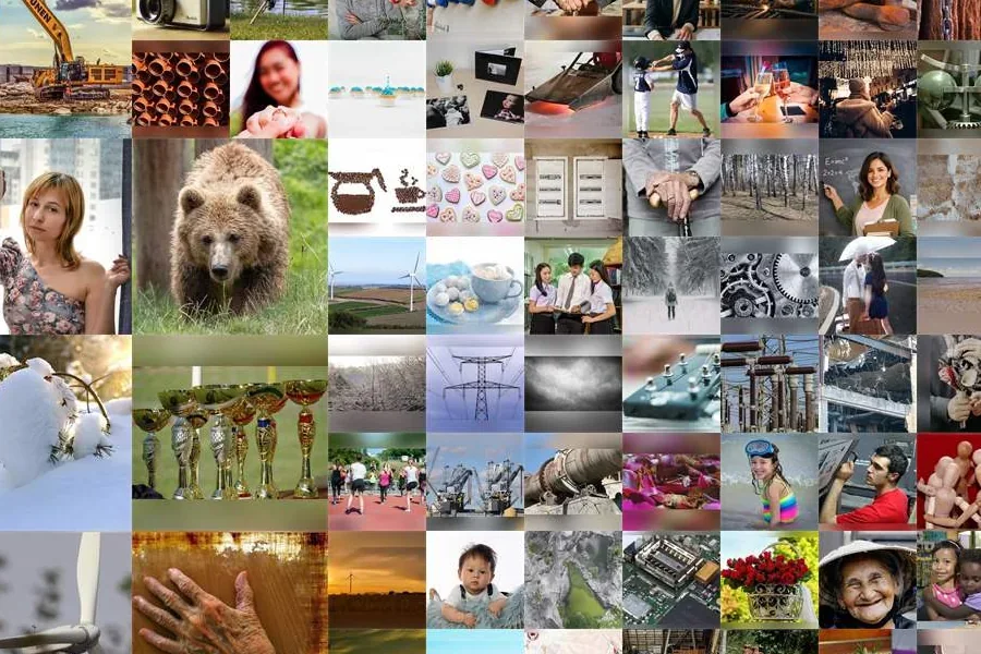 Щека портрета из 300 случайных фотографий